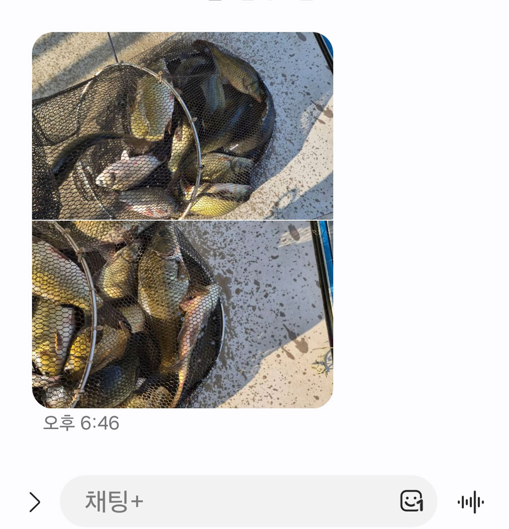 KakaoTalk_20260703_08301501adf.jpg