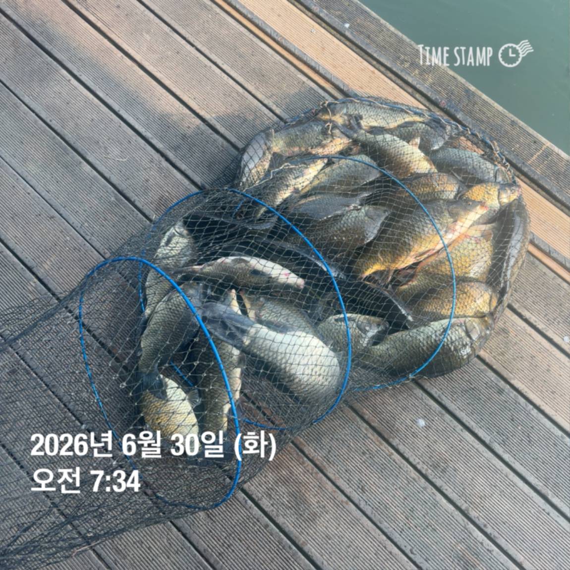 KakaoTalk_20260703_090645619_04.jpg