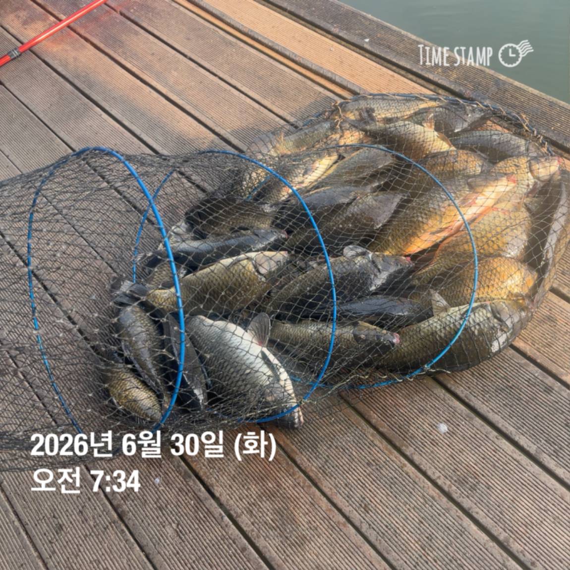 KakaoTalk_20260703_090645619_06.jpg