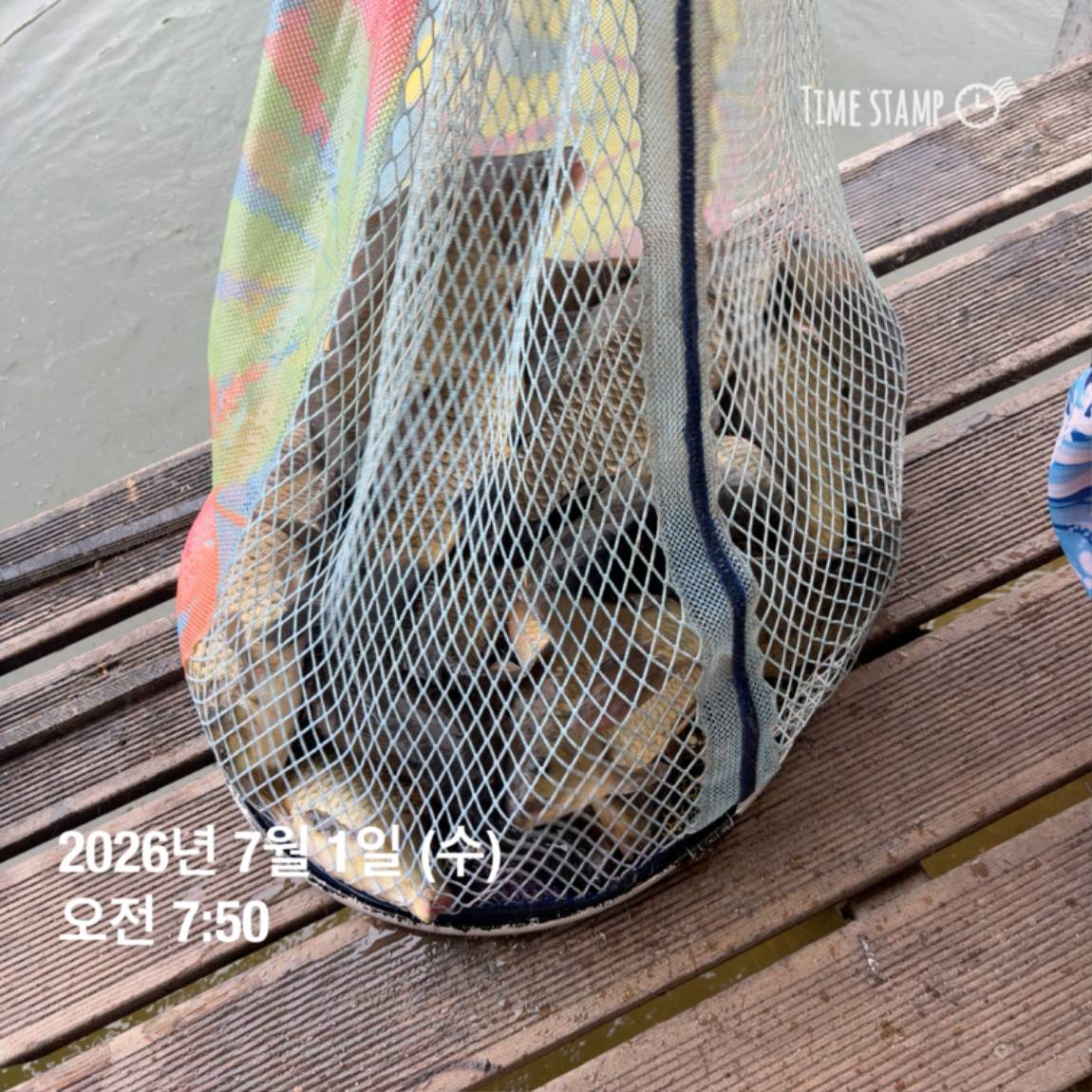 KakaoTalk_20260703_090645619_11.jpg