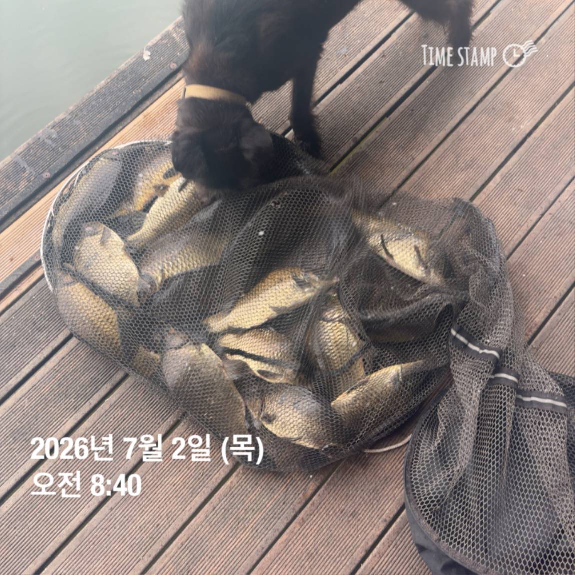 KakaoTalk_20260703_090645619_13.jpg