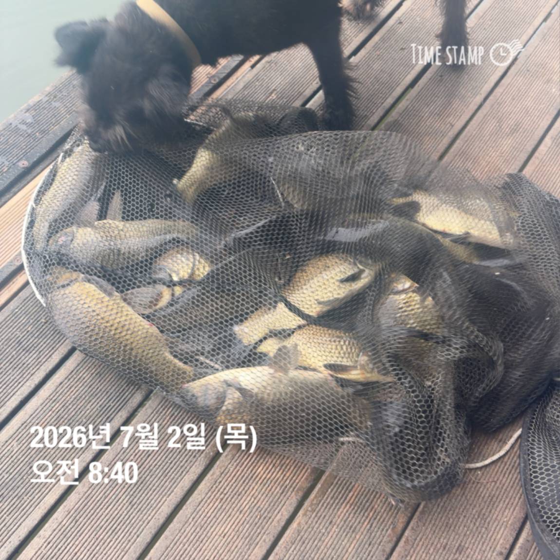 KakaoTalk_20260703_090645619_14.jpg