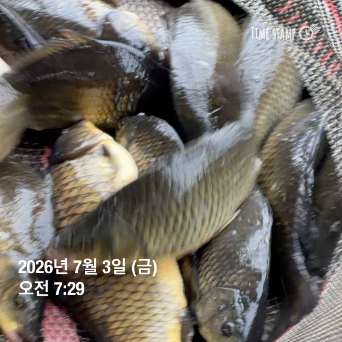 KakaoTalk_20260703_090645619_17.jpg