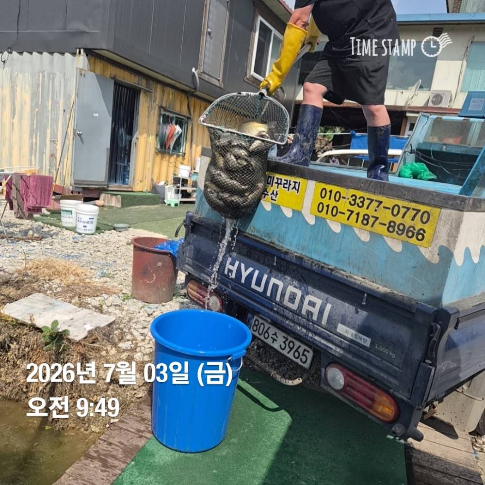 1783040713181.jpg