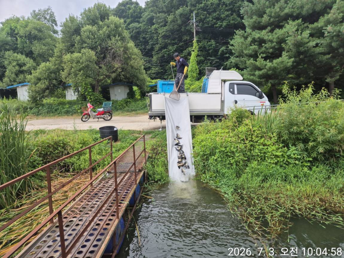 KakaoTalk_20260703_133400637_04.jpg