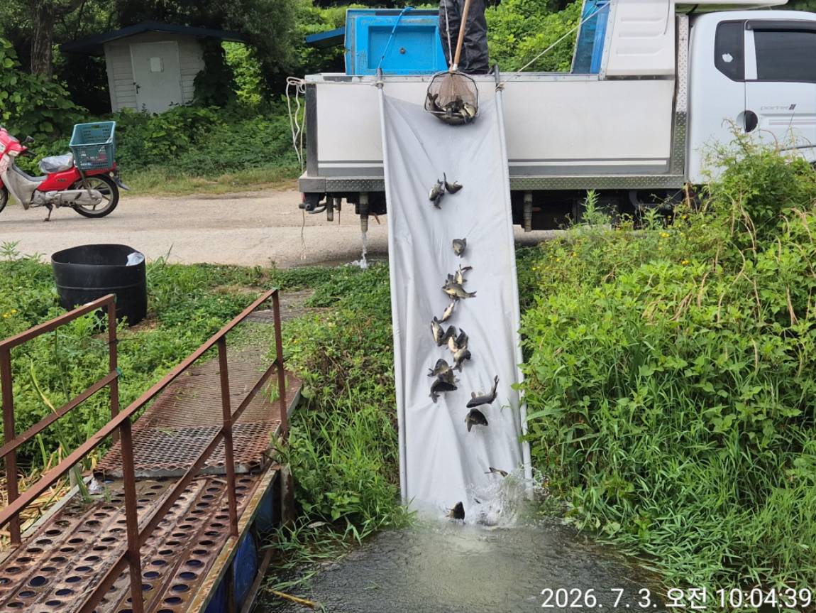 KakaoTalk_20260703_133400637_06.jpg