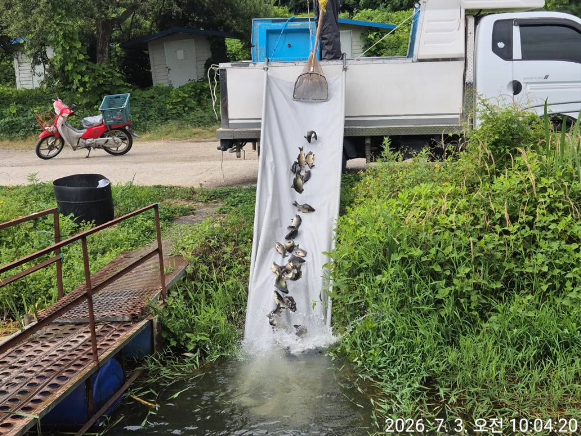 KakaoTalk_20260703_133400637_09.jpg