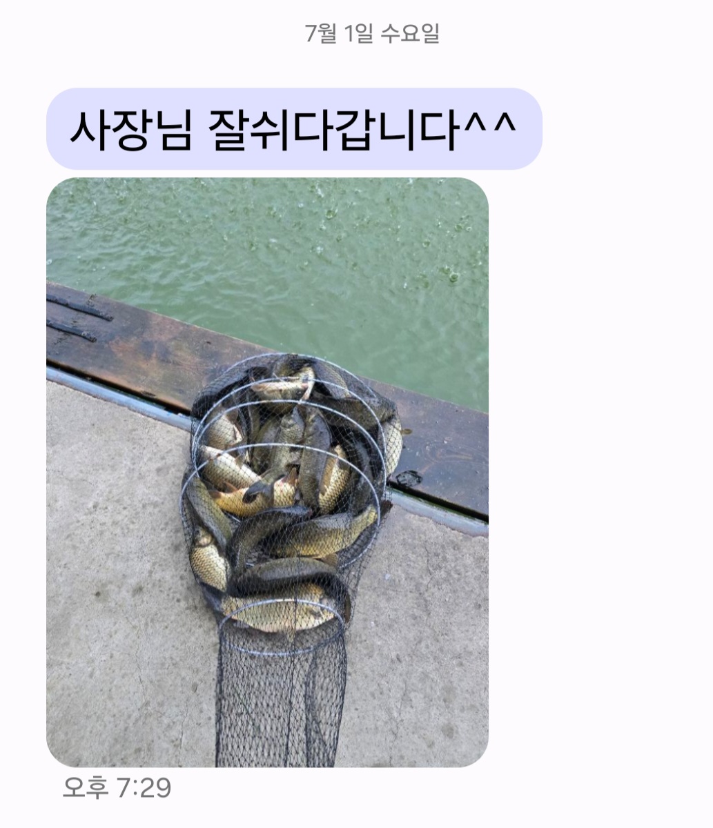 Screenshot_20260702_073239_Messages.jpg