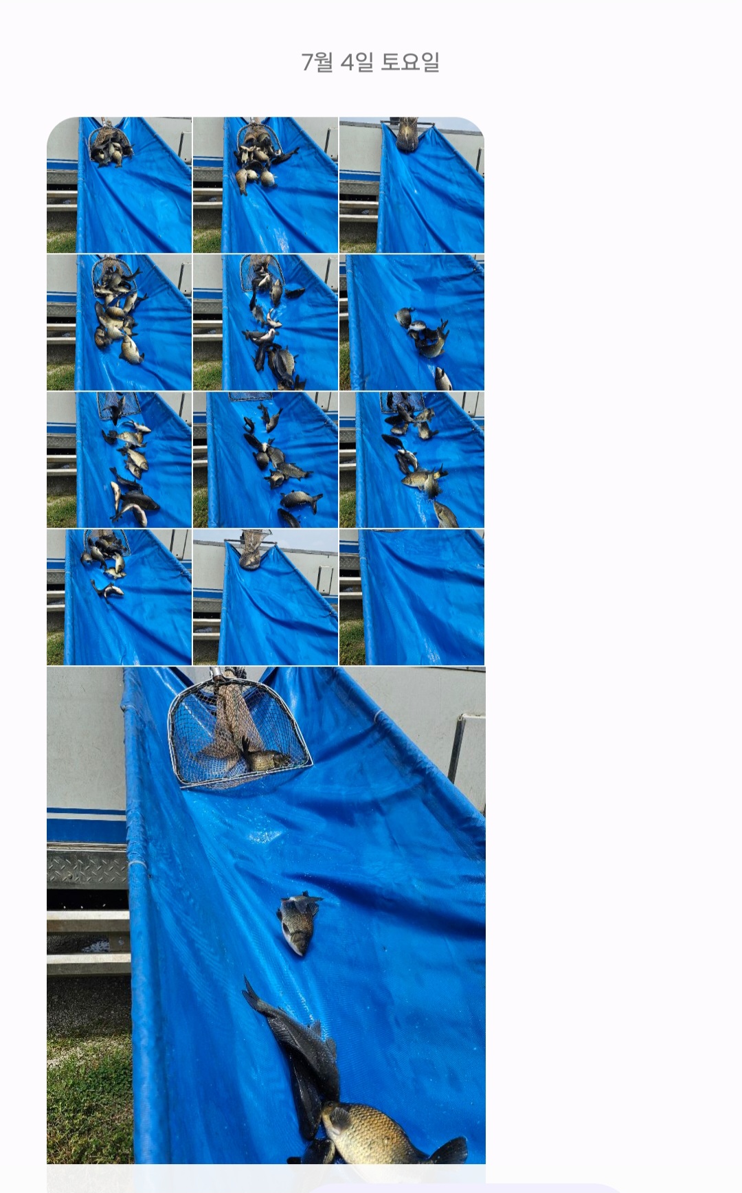 Screenshot_20260704_171919_Messages.jpg