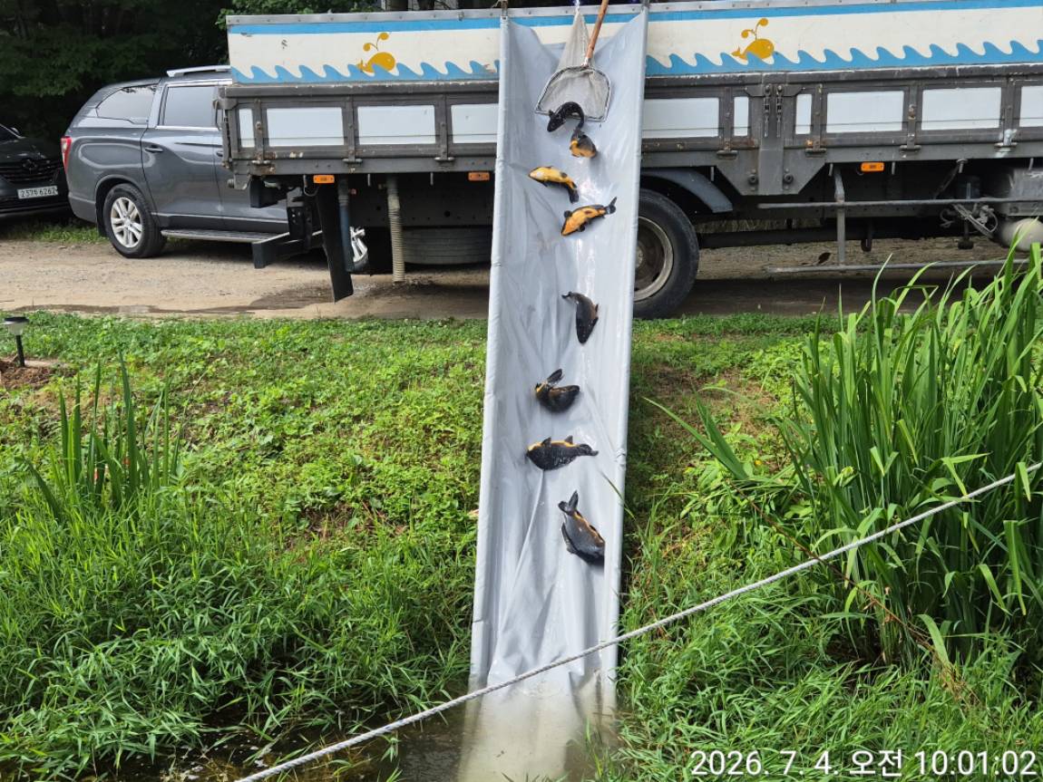 KakaoTalk_20260705_171652748_03.jpg