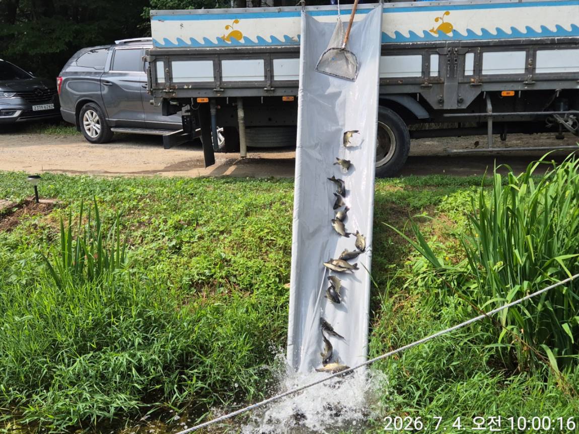 KakaoTalk_20260705_171652748_05.jpg