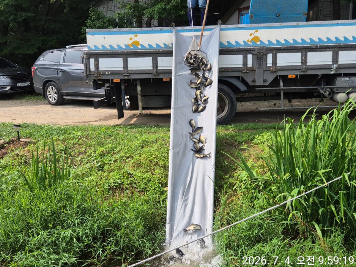 KakaoTalk_20260705_171652748_10.jpg