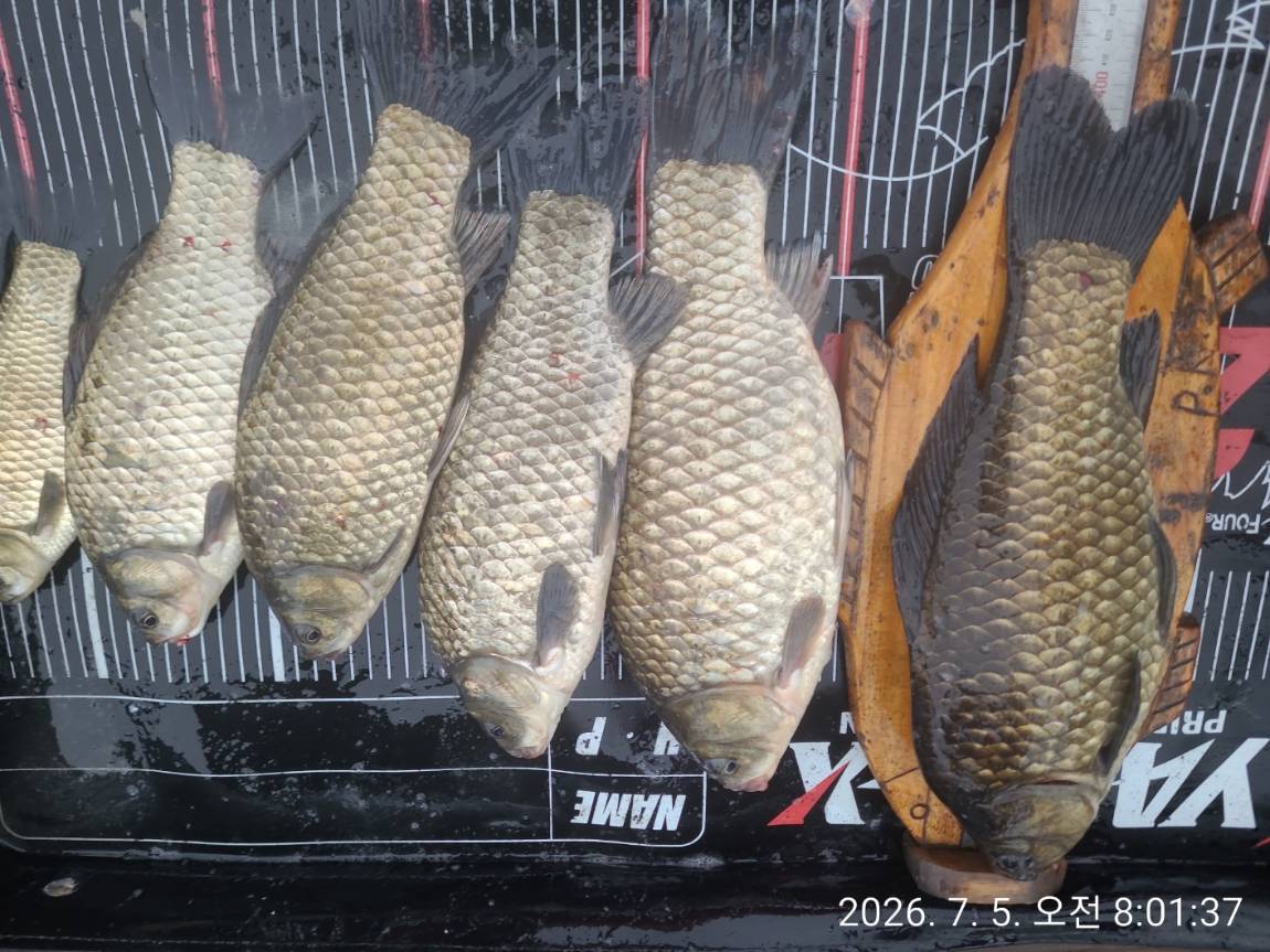 KakaoTalk_20260705_205758046_13 (1).jpg