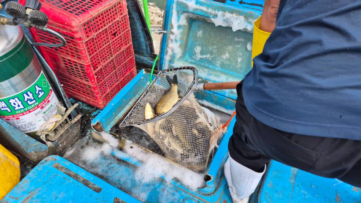 20260704_102948.jpg