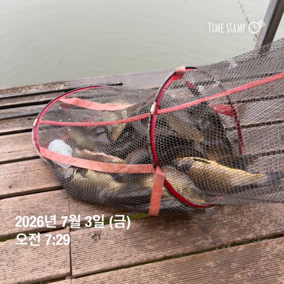 KakaoTalk_20260706_091242816_02.jpg
