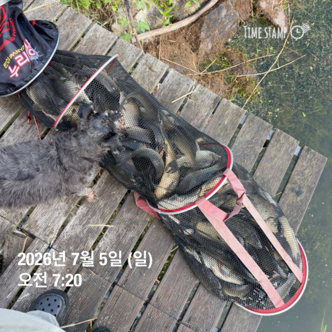 KakaoTalk_20260706_091242816_07.jpg