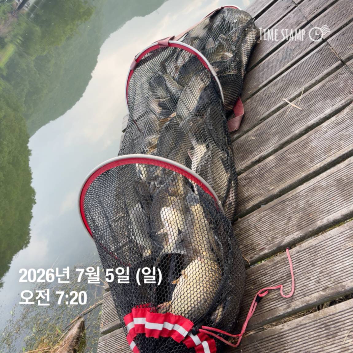 KakaoTalk_20260706_091242816_09.jpg
