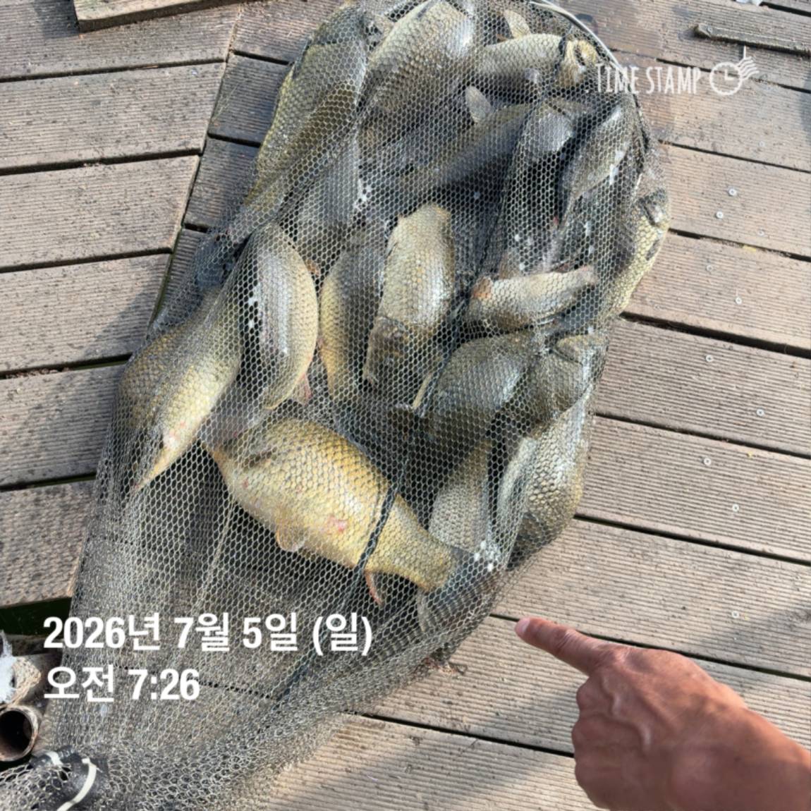 KakaoTalk_20260706_091242816_12.jpg