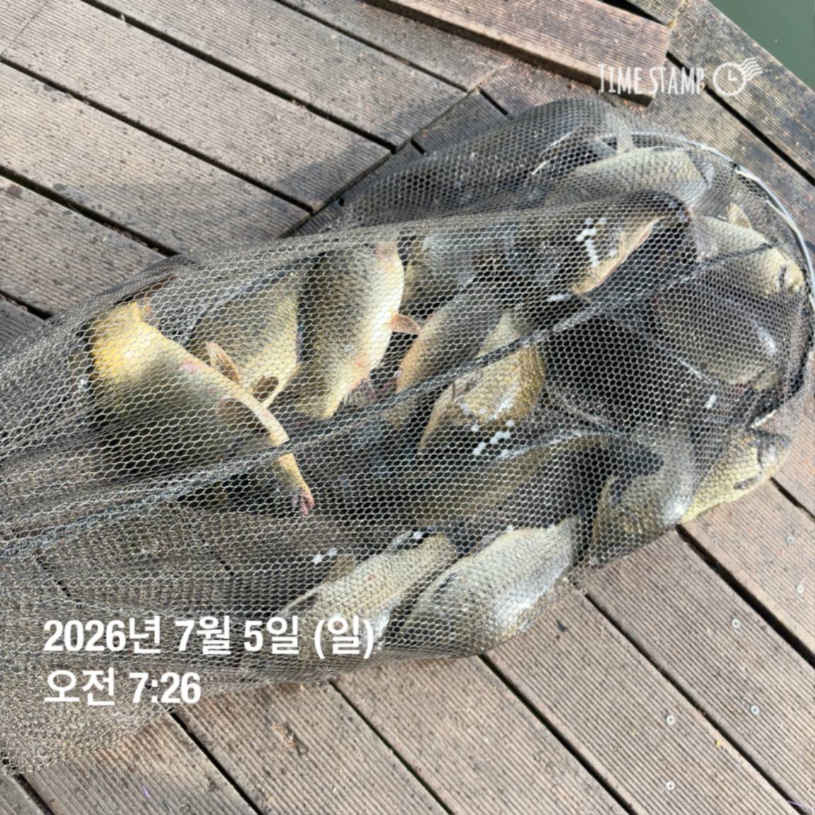 KakaoTalk_20260706_091242816_13.jpg