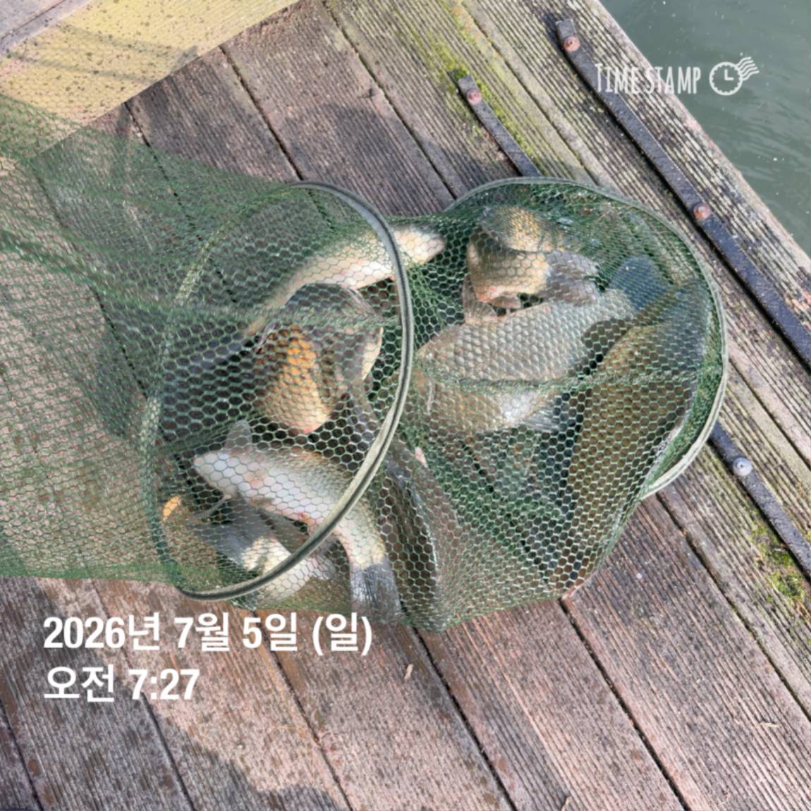 KakaoTalk_20260706_091242816_14.jpg