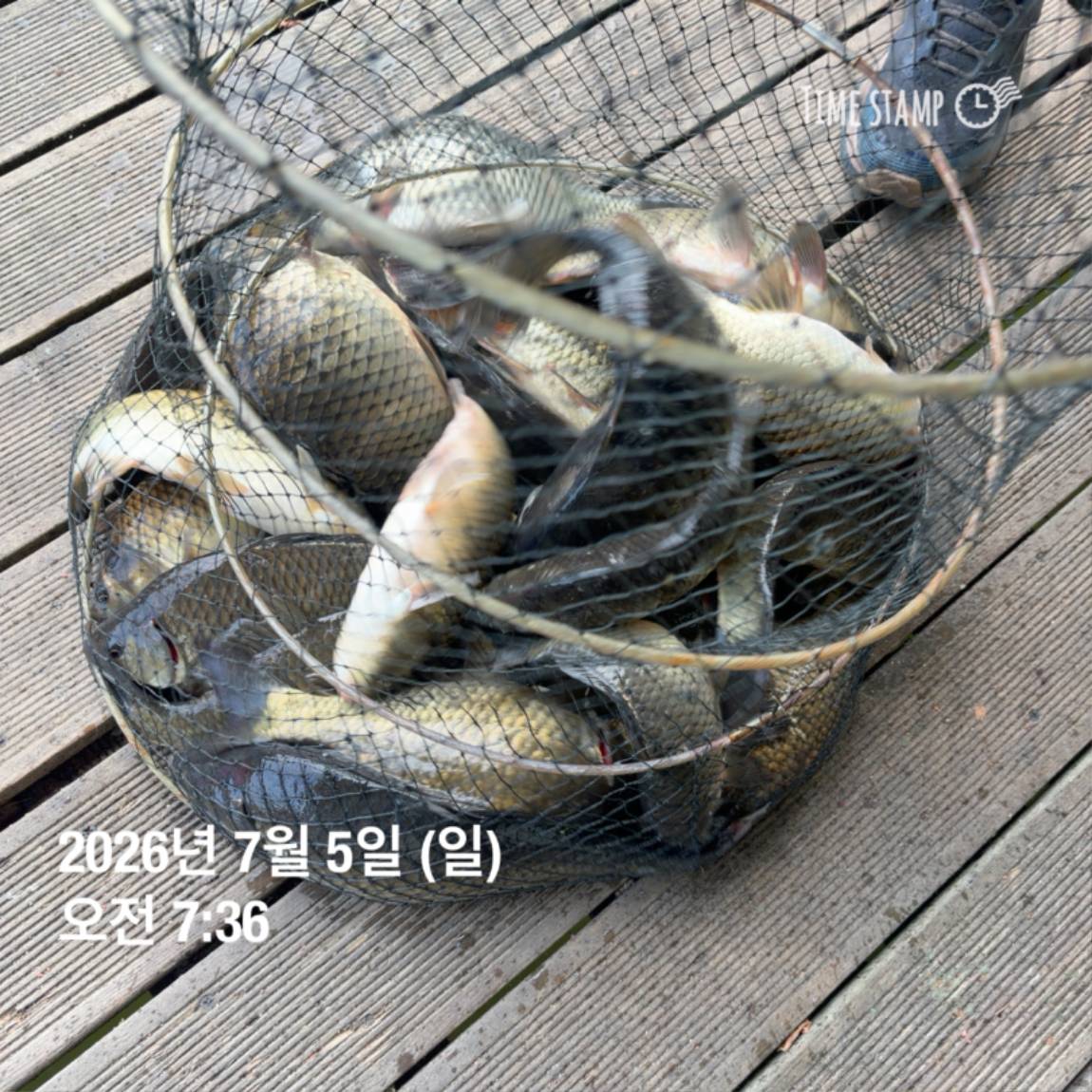 KakaoTalk_20260706_091242816_15.jpg