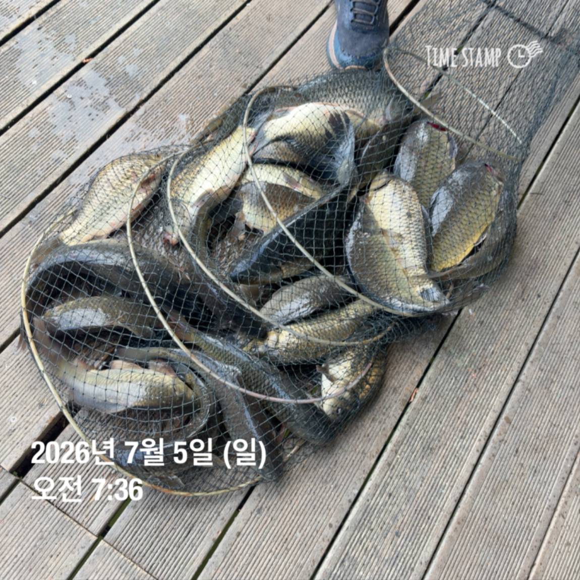 KakaoTalk_20260706_091242816_16.jpg