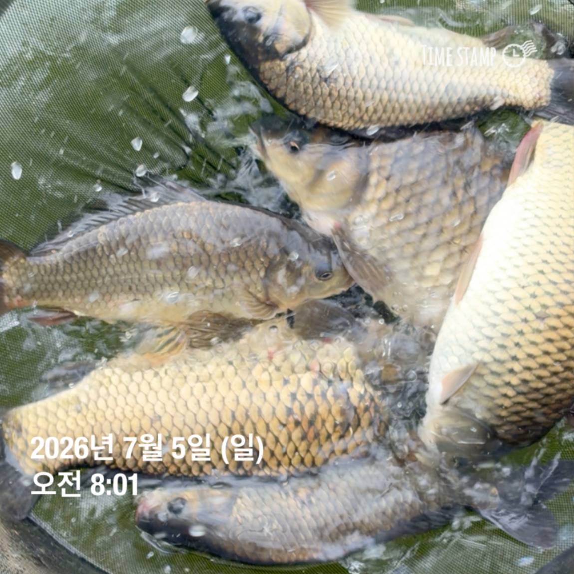 KakaoTalk_20260706_091242816_17.jpg