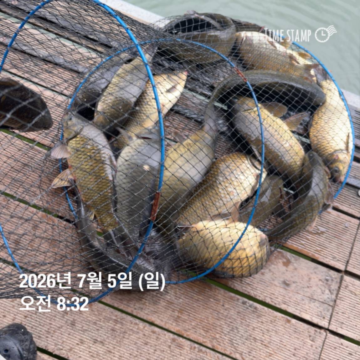 KakaoTalk_20260706_091242816_18.jpg