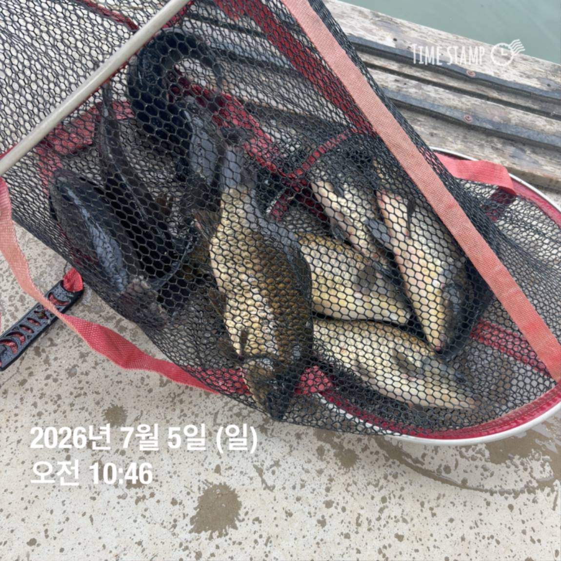 KakaoTalk_20260706_091242816_22.jpg