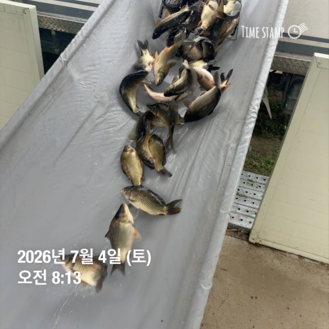 KakaoTalk_20260706_091242816_27.jpg