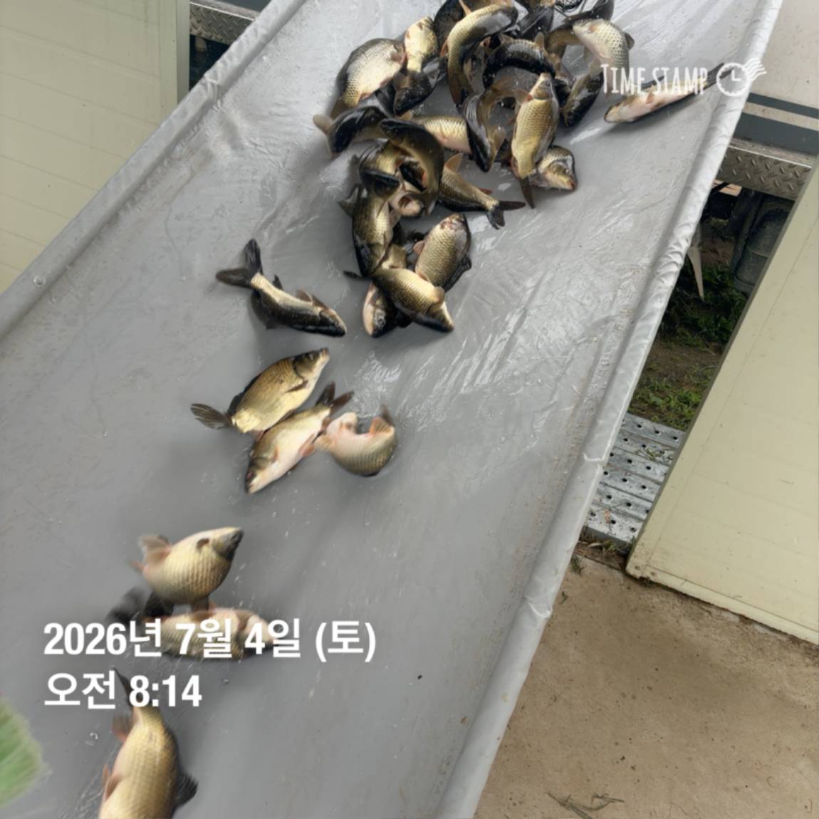 KakaoTalk_20260706_091242816_29.jpg