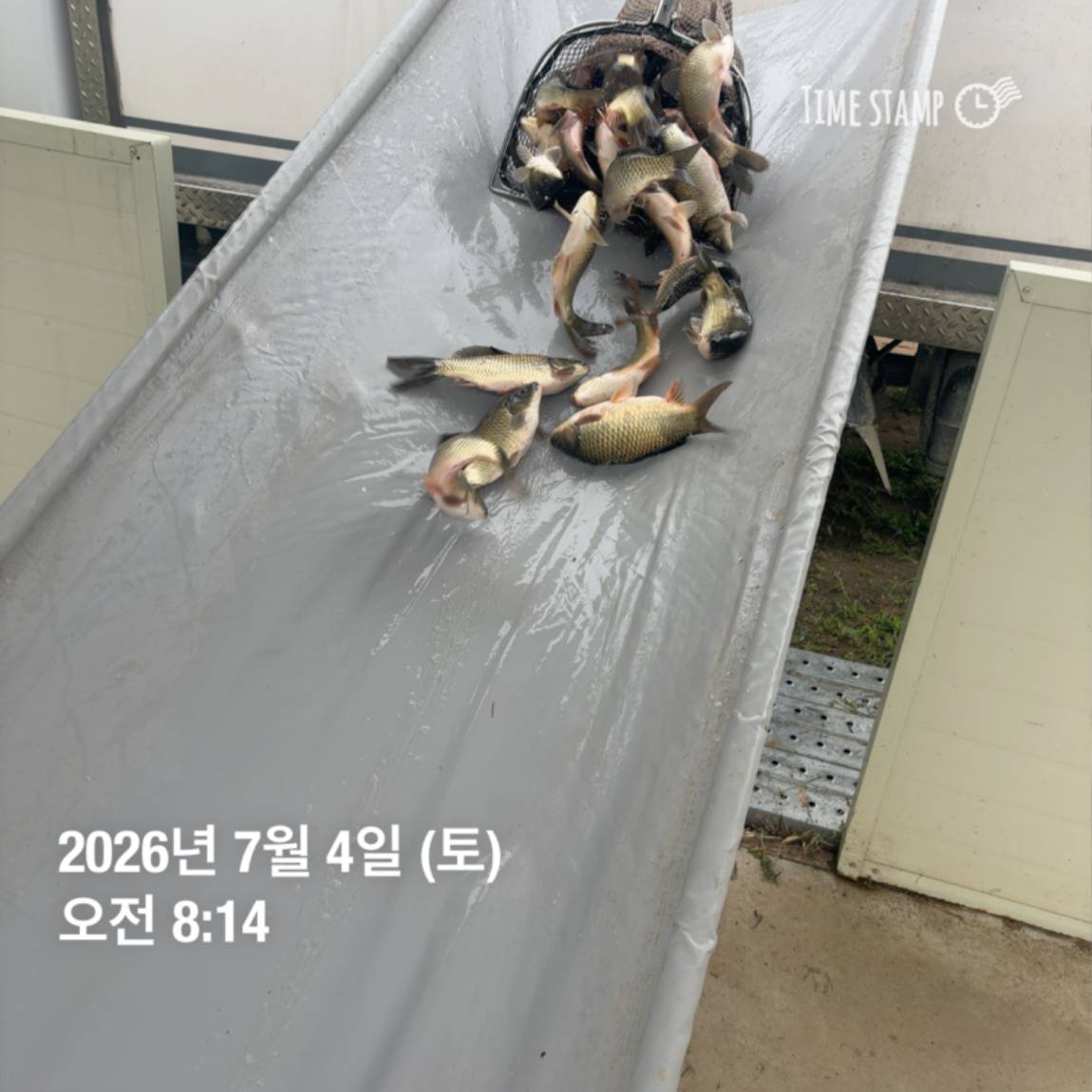 KakaoTalk_20260706_091250376.jpg