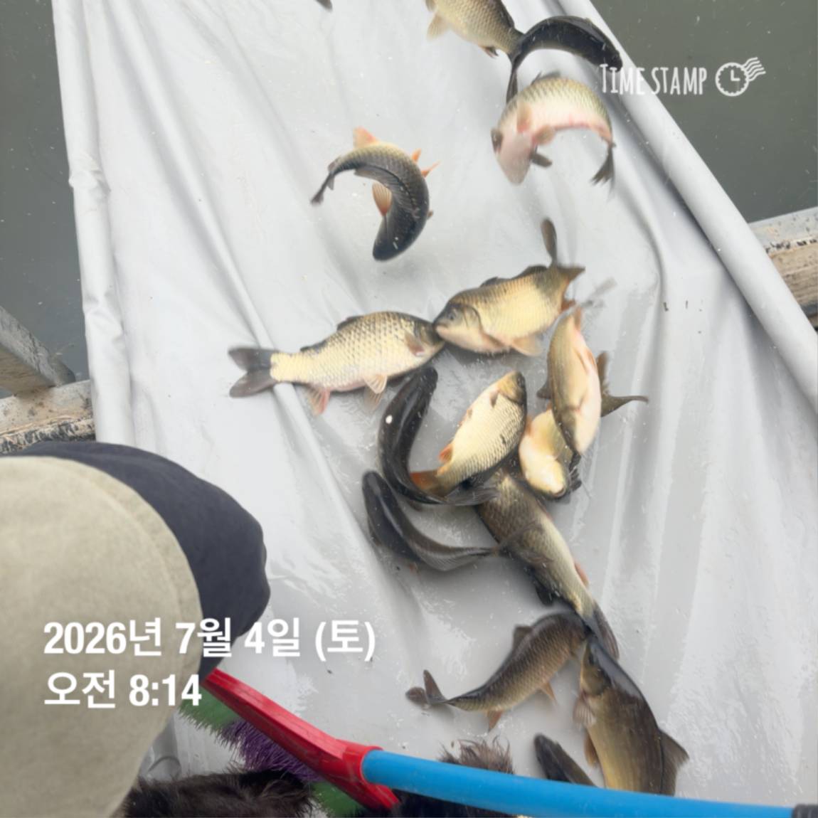KakaoTalk_20260706_091250376_03.jpg