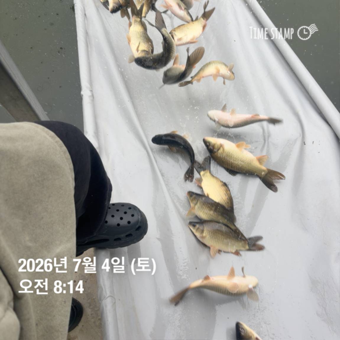 KakaoTalk_20260706_091250376_02.jpg