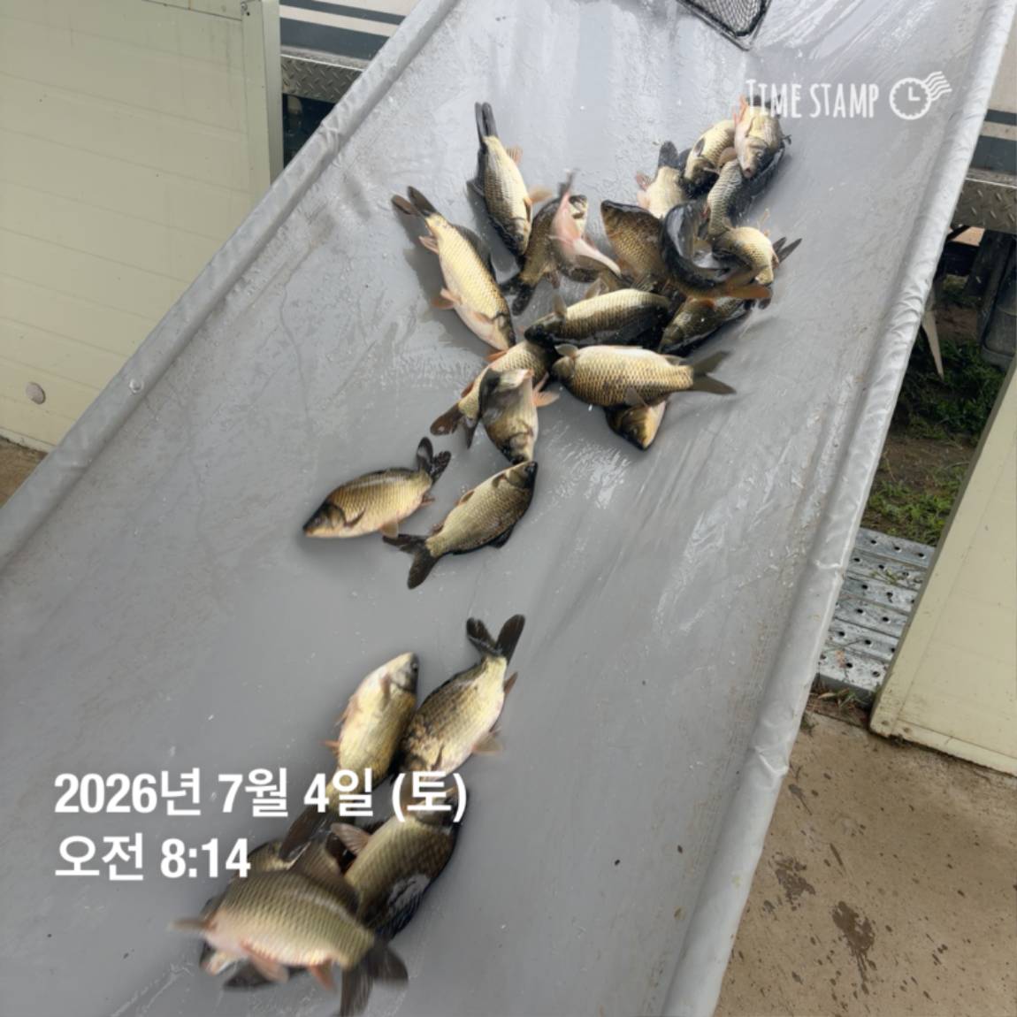 KakaoTalk_20260706_091250376_05.jpg