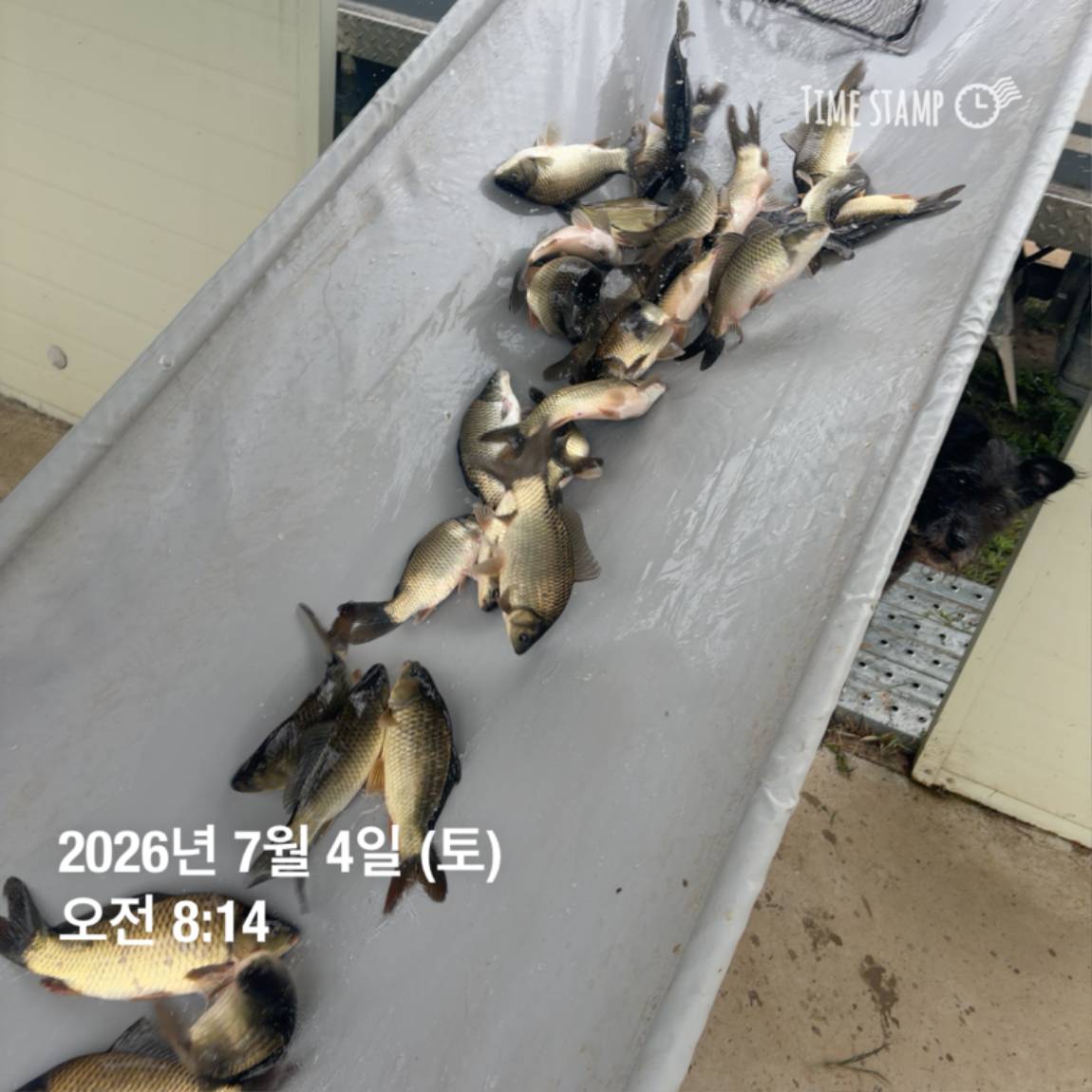 KakaoTalk_20260706_091250376_06.jpg