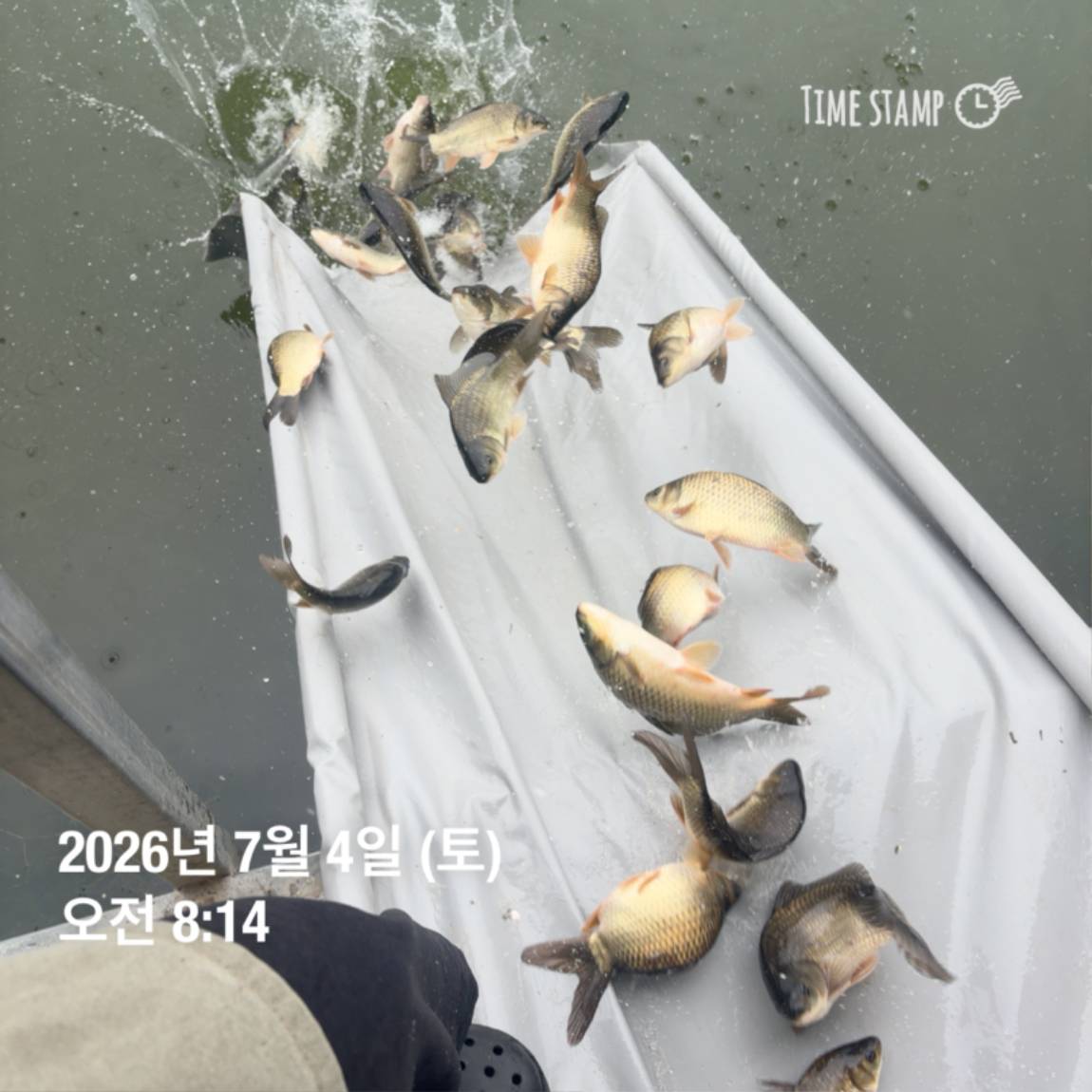 KakaoTalk_20260706_091250376_08.jpg