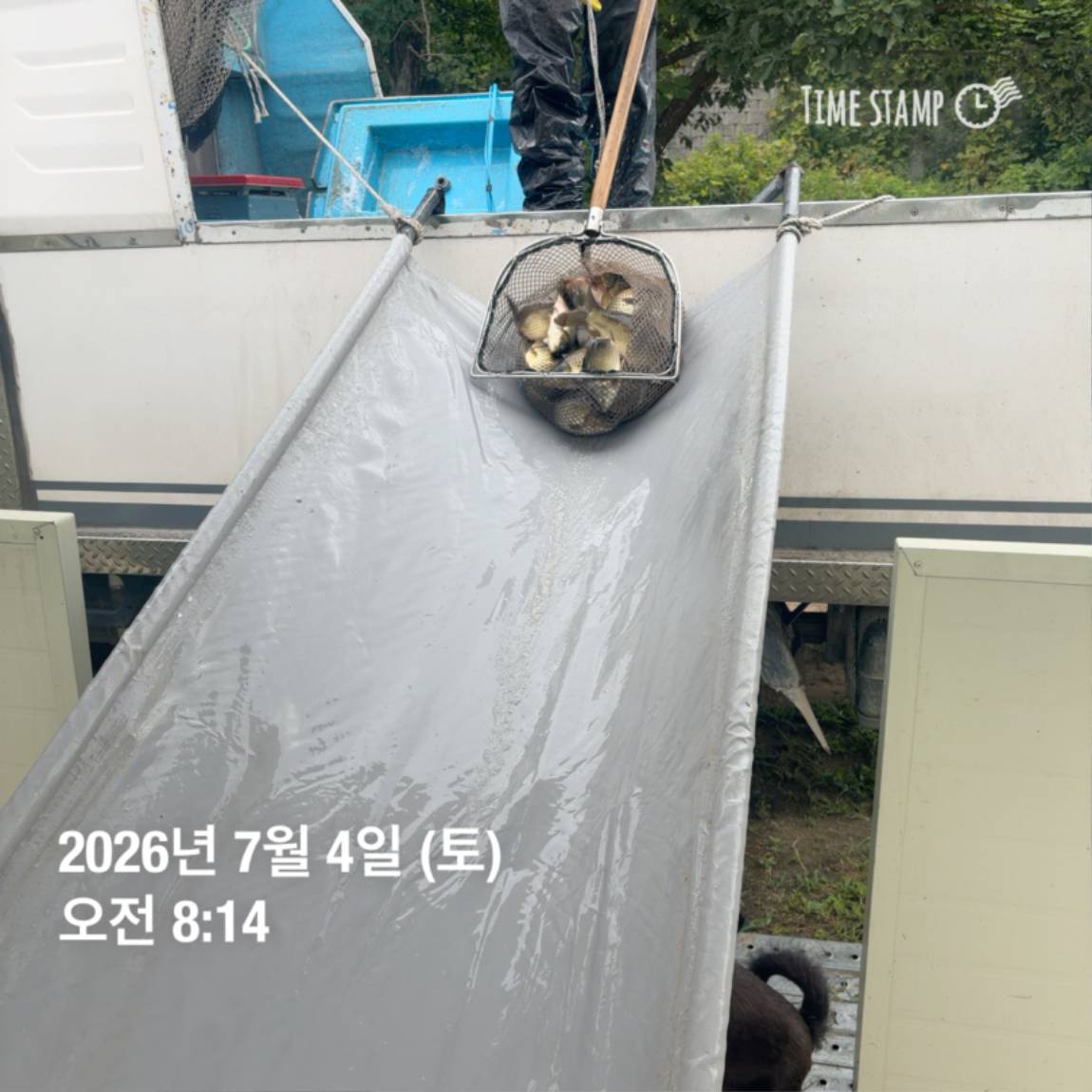 KakaoTalk_20260706_091250376_11.jpg