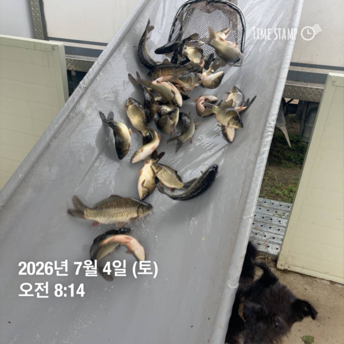 KakaoTalk_20260706_091250376_10.jpg