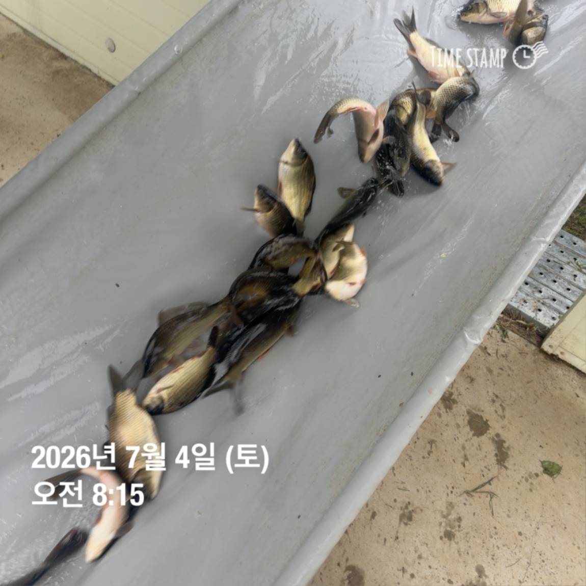 KakaoTalk_20260706_091250376_12.jpg