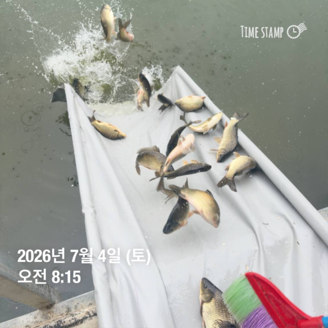 KakaoTalk_20260706_091250376_13.jpg