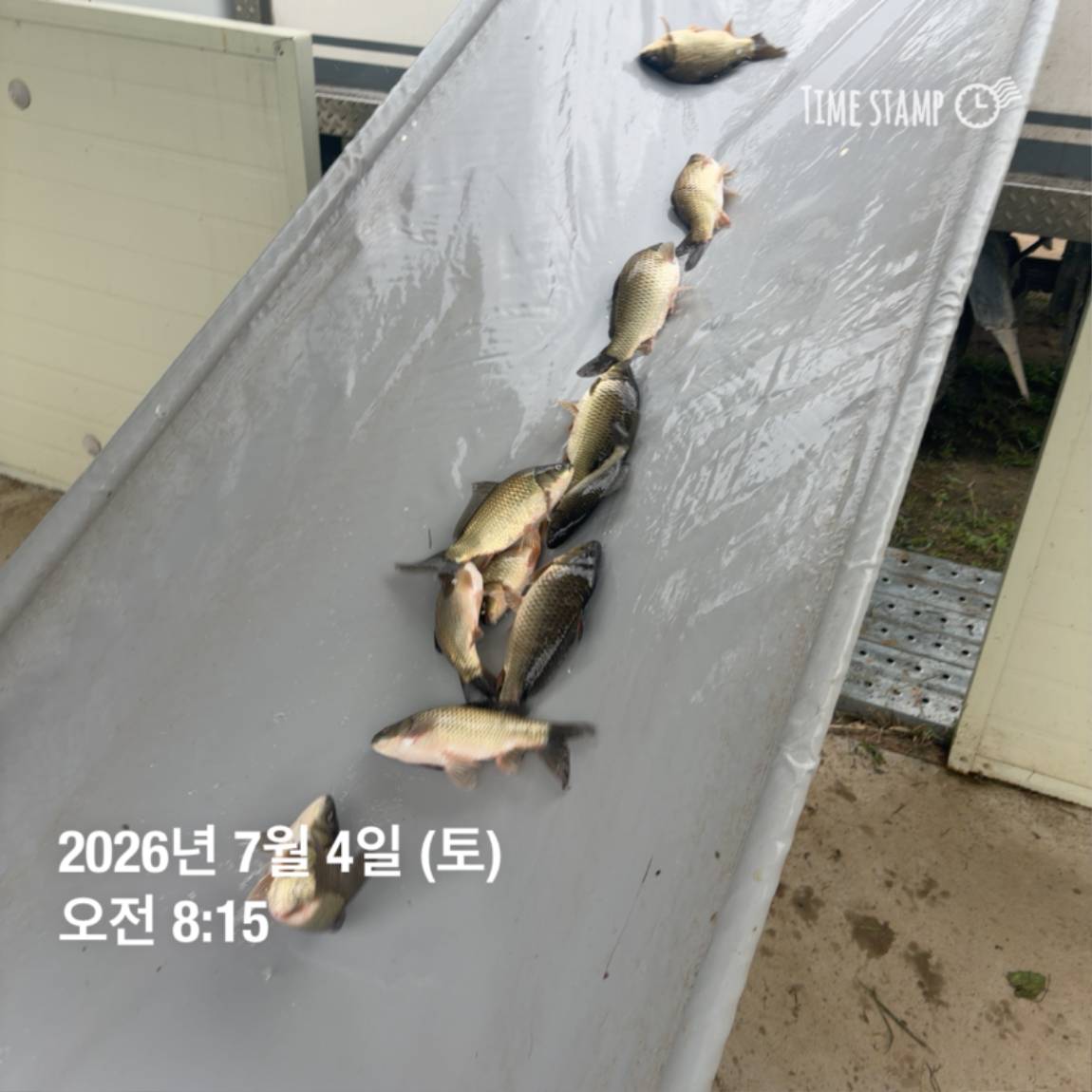 KakaoTalk_20260706_091250376_14.jpg