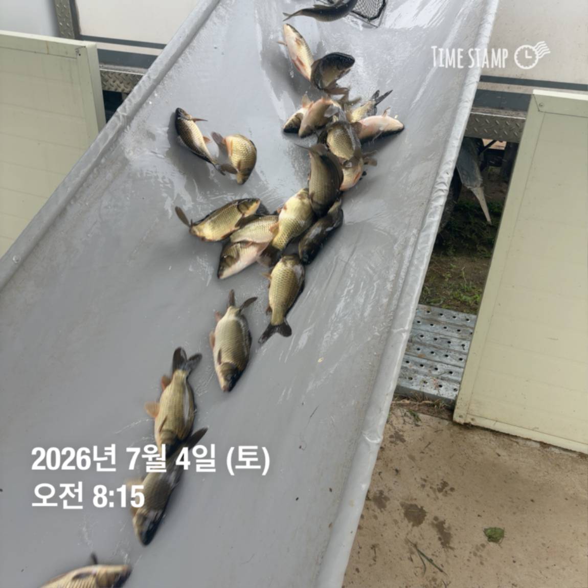 KakaoTalk_20260706_091250376_16.jpg