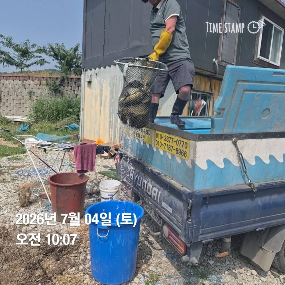 1783298747853.jpg