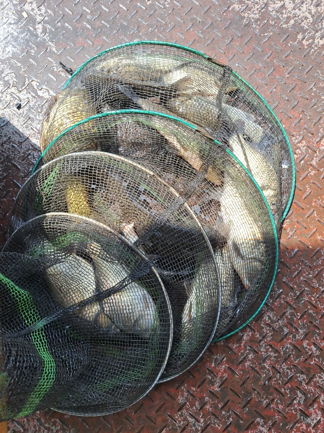 KakaoTalk_20260706_100219913.jpg