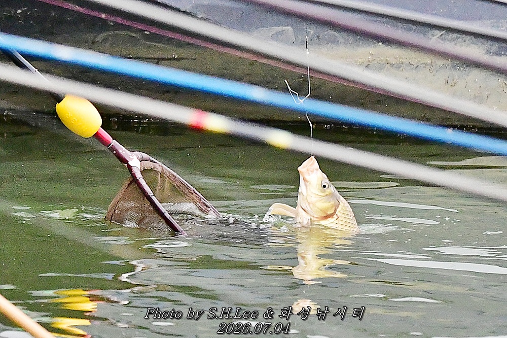 DSC_1480.JPG