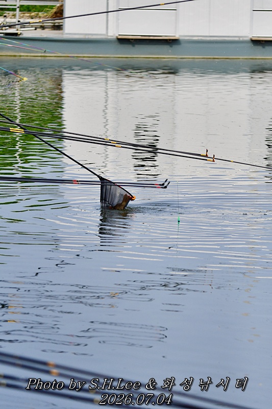 DSC_1576.JPG