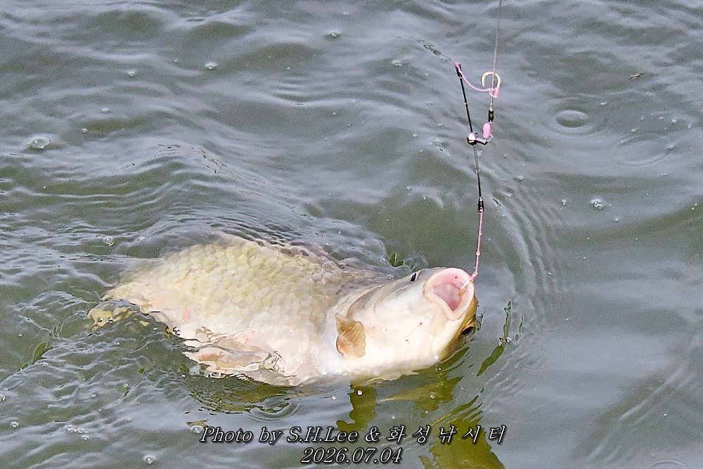 DSC_1581.JPG