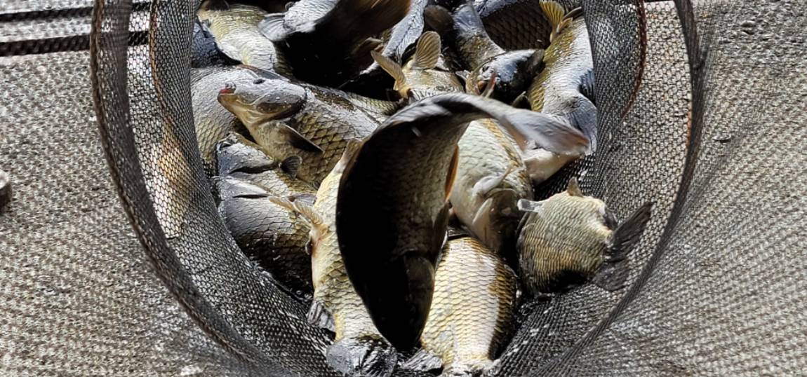 9 (4).jpg