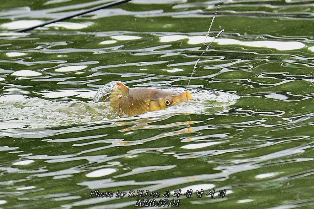 DSC_4415.JPG
